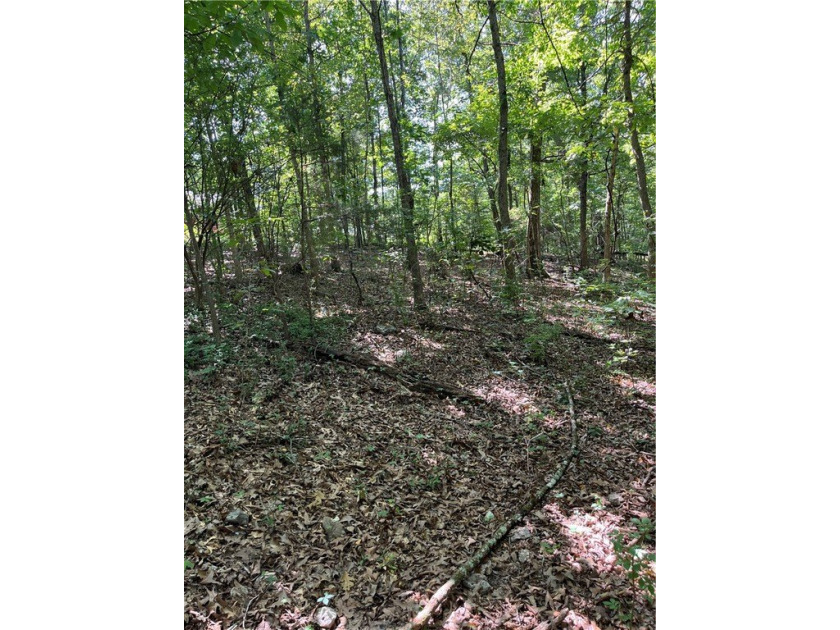 Wooded Residential Lots in Wunderland Est. Subdivision. Close to - photo 4