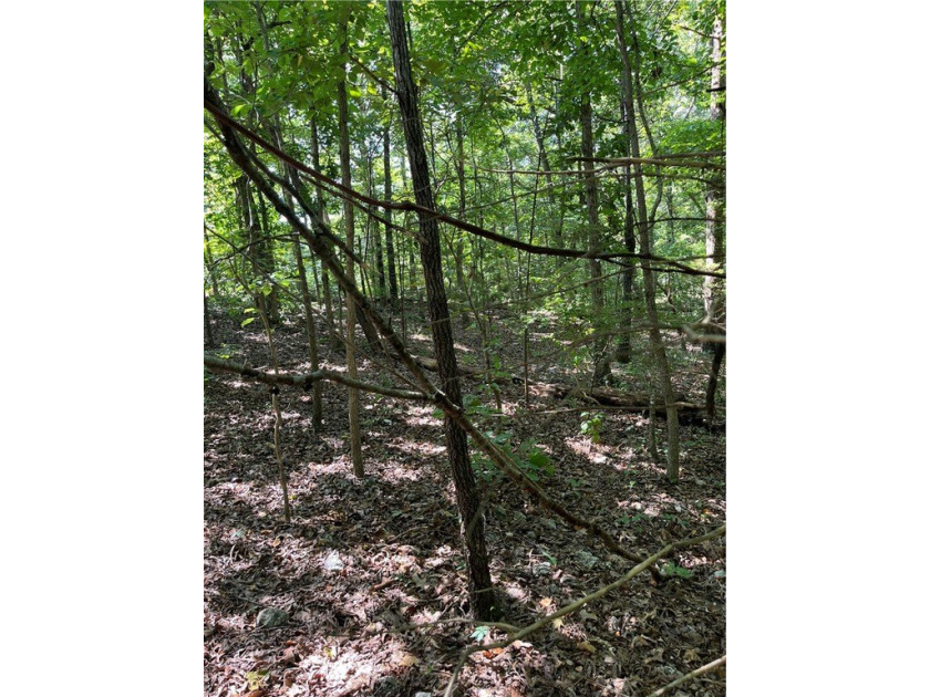 Wooded Residential Lots in Wunderland Est. Subdivision. Close to - photo 5