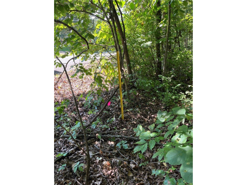 Wooded Residential Lots in Wunderland Est. Subdivision. Close to - photo 6