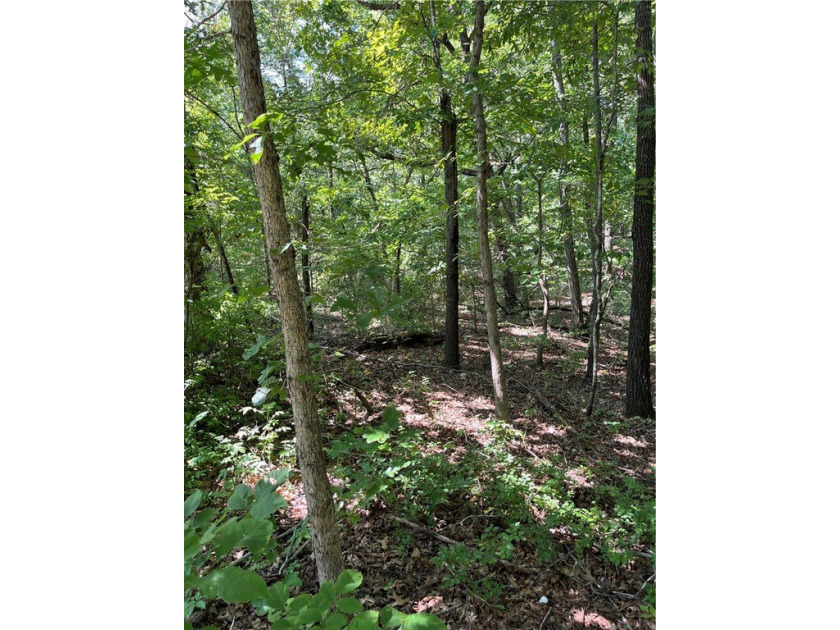 Wooded Residential Lots in Wunderland Est. Subdivision. Close to - photo 7