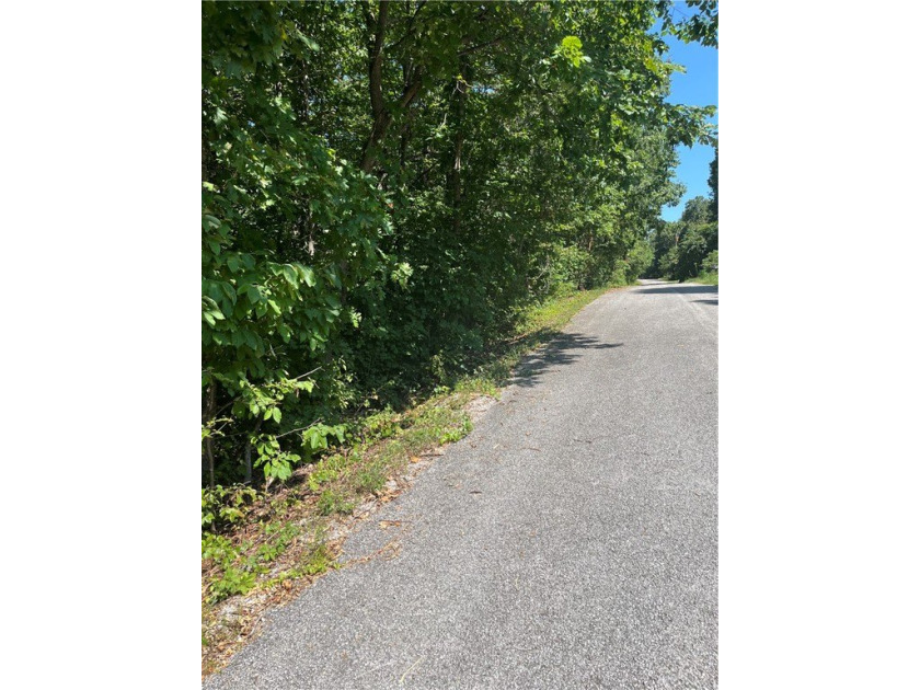 Wooded Residential Lots in Wunderland Est. Subdivision. Close to - photo 8