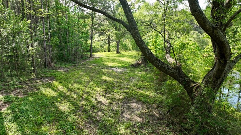 This is the ideal tract for the savvy investor/recreational - photo 2