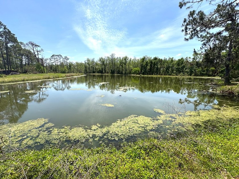 Welcome to your dream country retreat-a stunning home nestled on - photo 3