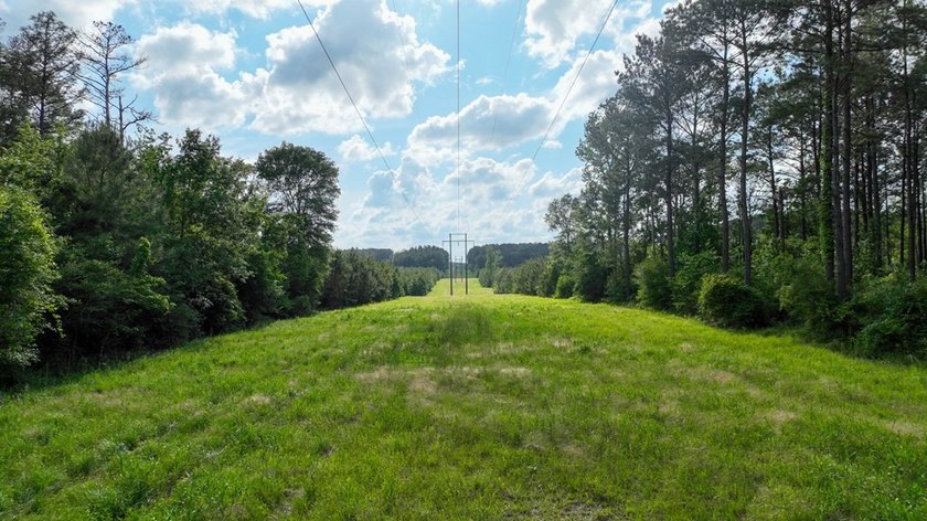 This is the ideal tract for the savvy investor/recreational - photo 6