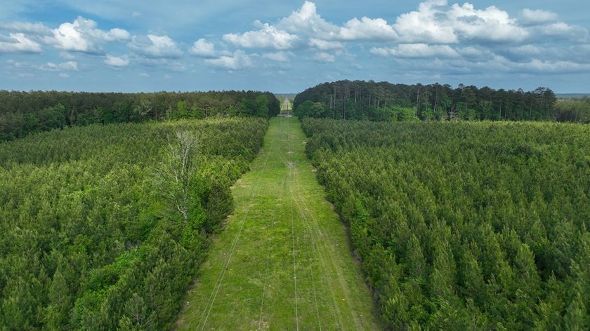 This is the ideal tract for the savvy investor/recreational - photo 7