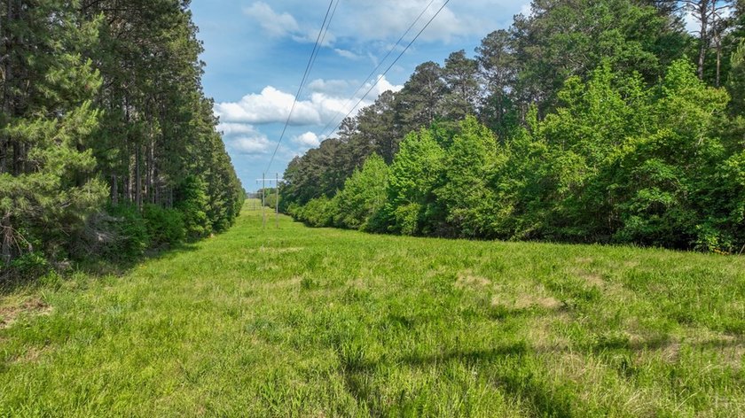 This is the ideal tract for the savvy investor/recreational - photo 8