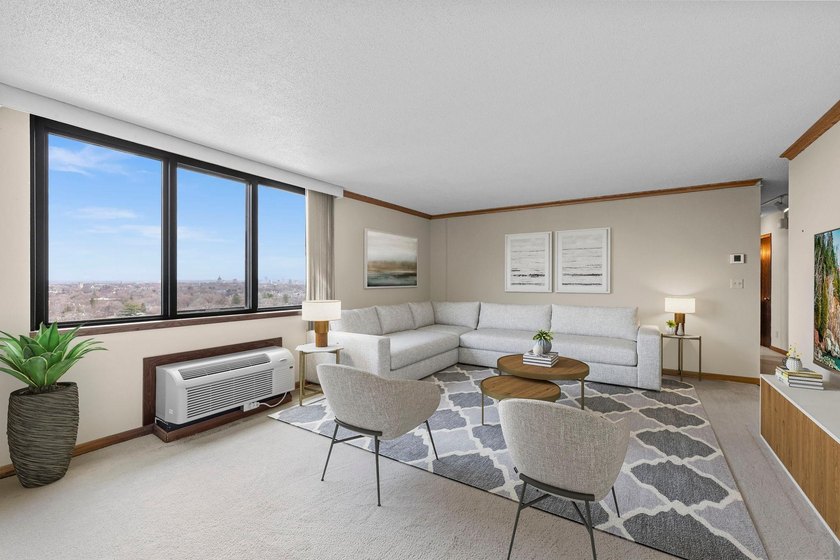 Enjoy the view of all of St. Paul &amp; beyond our your 17th floor - photo 9