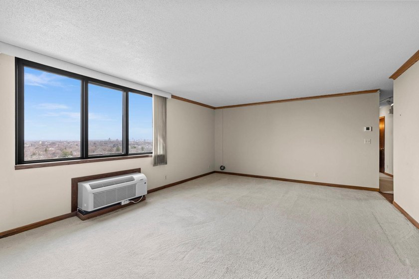 Enjoy the view of all of St. Paul &amp; beyond our your 17th floor - photo 10