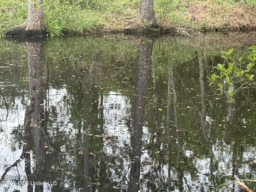 Great opportunity to purchase a large waterfront property at an - photo 7