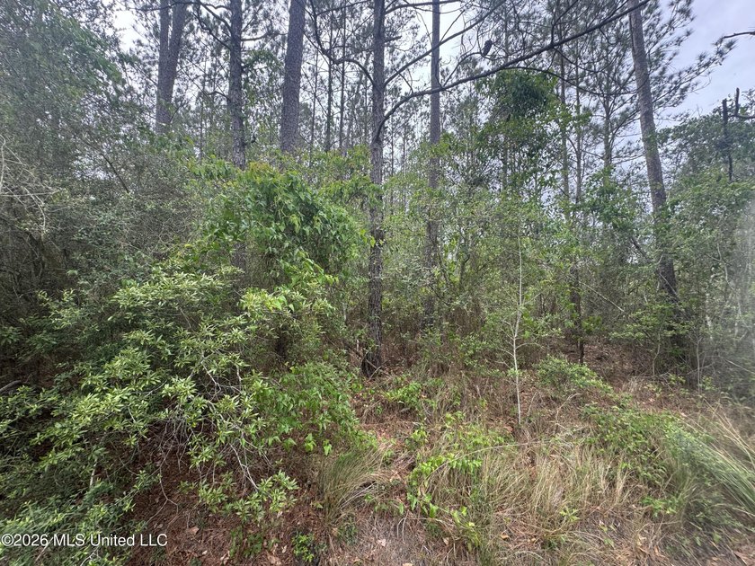 Great opportunity to purchase a large waterfront property at an - photo 9