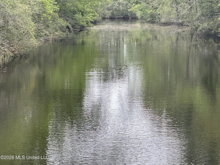 If you love nature and enjoy a peaceful setting, this is for you - photo 2
