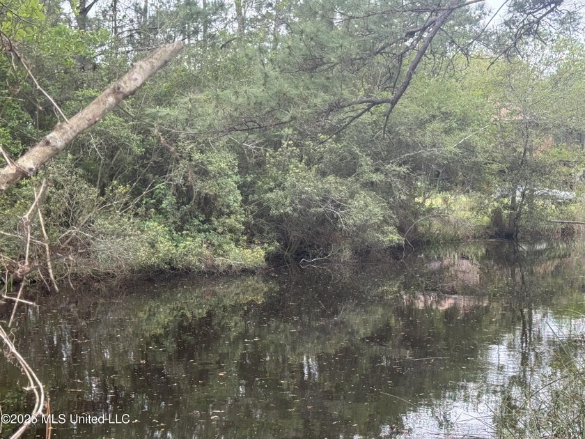 If you love nature and enjoy a peaceful setting, this is for you - photo 3