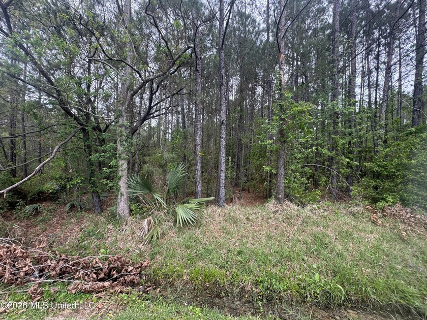 Own your own little piece of Paradise with this property at the - photo 2