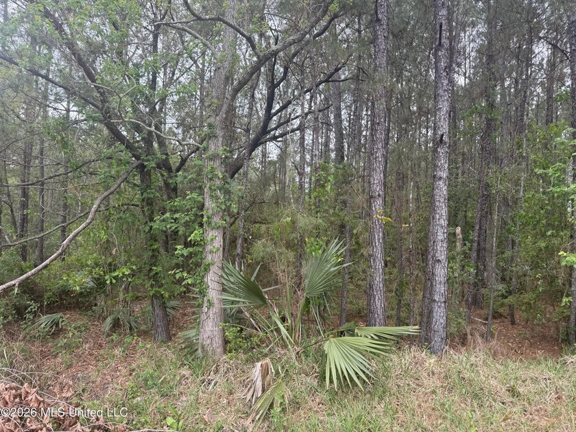 Own your own little piece of Paradise with this property at the - photo 3