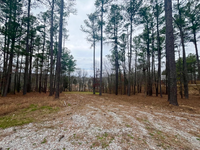 Beautiful Waterfront Lot in Marina Point Subdivision - photo 11