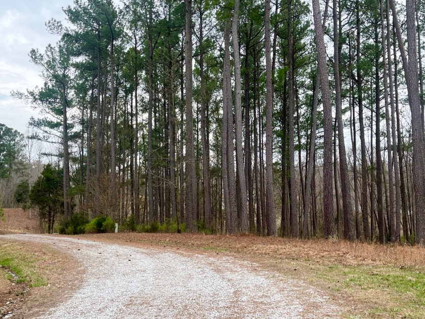 Beautiful Waterfront Lot in Marina Point Subdivision - photo 16