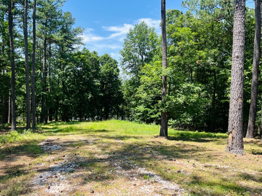 Beautiful Waterfront Lot in Marina Point Subdivision - photo 4