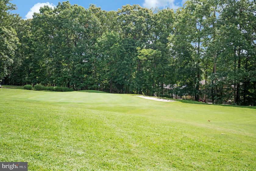 Tucked in the cul-de-sac &amp; sitting on a wooded lot give this - photo 50