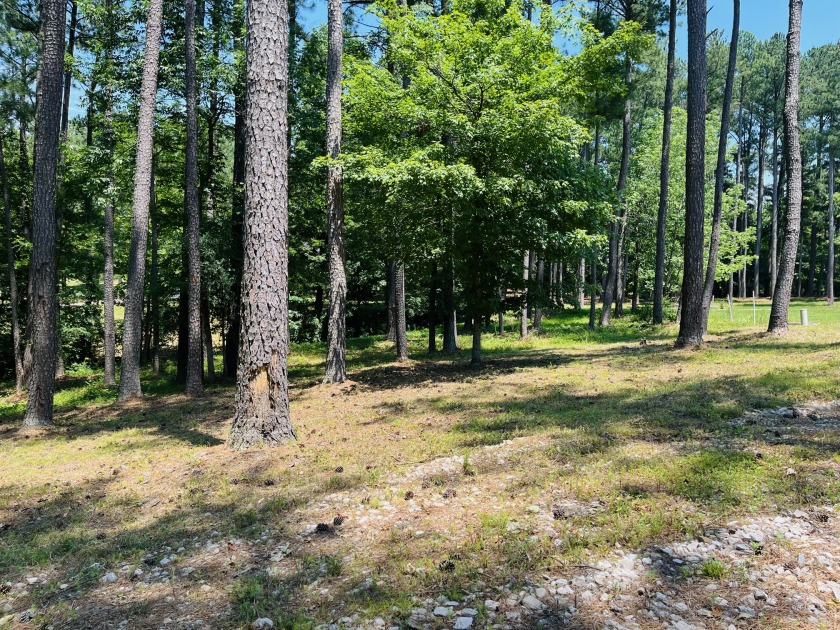 Beautiful Waterfront Lot in Marina Point Subdivision - photo 5