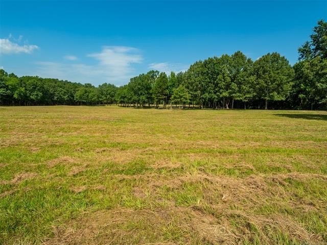 Homestead-Ready | Unrestricted | Exceptional Mountain Views - photo 22