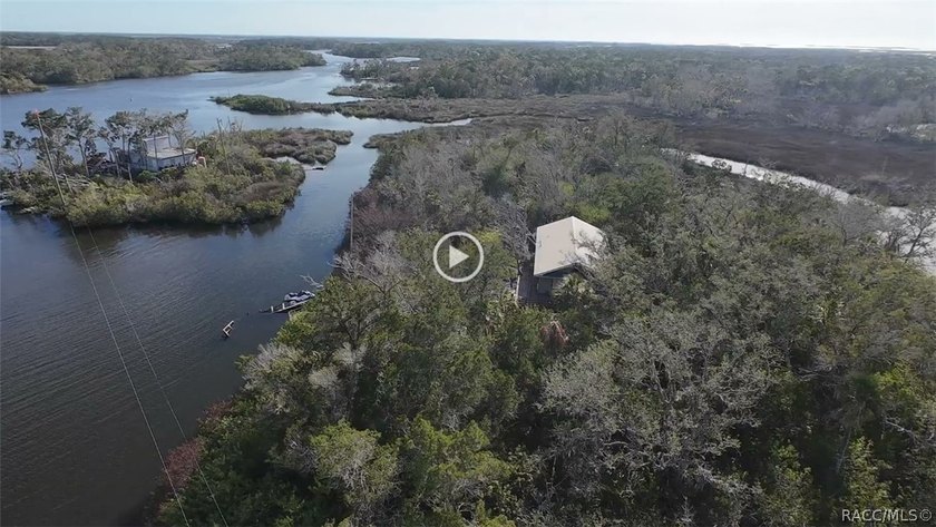 Homosassa Island Living on the Homosassa River - Your Escape to - photo 17