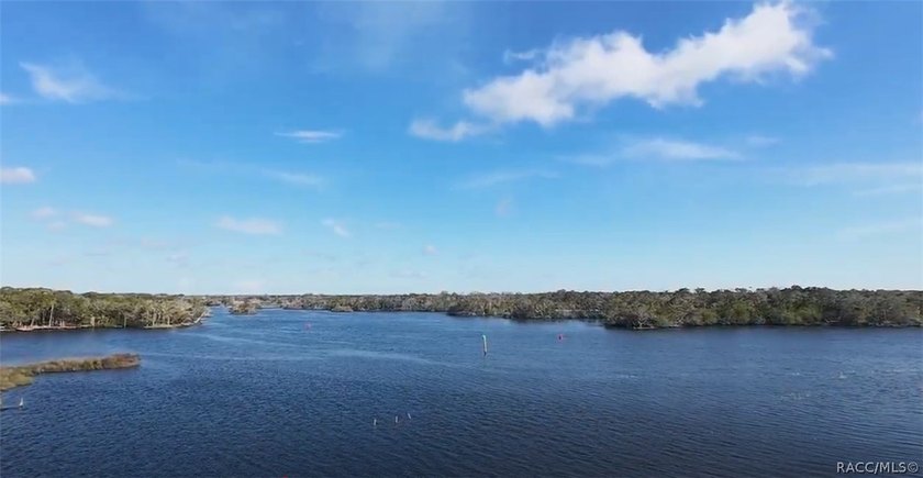 Homosassa Island Living on the Homosassa River - Your Escape to - photo 31