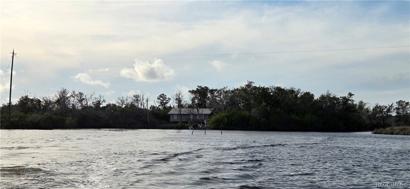 Homosassa Island Living on the Homosassa River - Your Escape to - photo 32