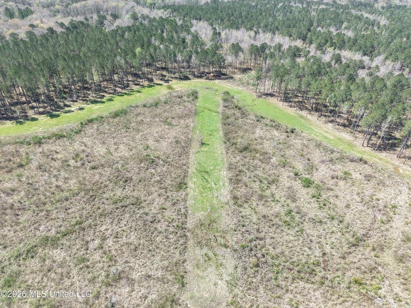 This 284.9+/- acre tract in Franklin County, Mississippi offers - photo 2