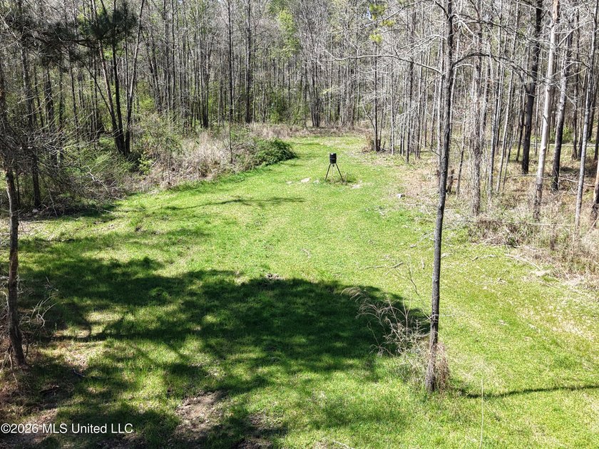 This 284.9+/- acre tract in Franklin County, Mississippi offers - photo 4