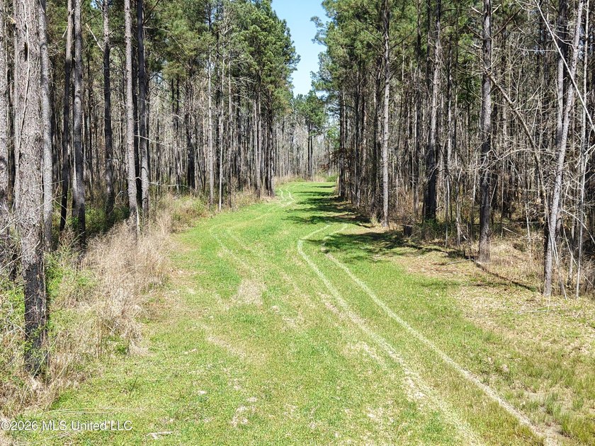 This 284.9+/- acre tract in Franklin County, Mississippi offers - photo 5