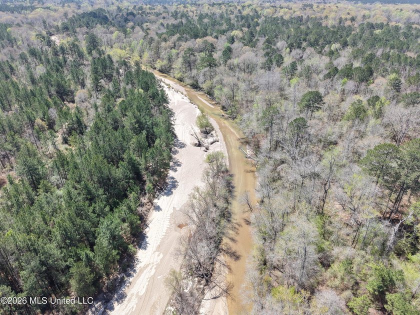 This 284.9+/- acre tract in Franklin County, Mississippi offers - photo 7