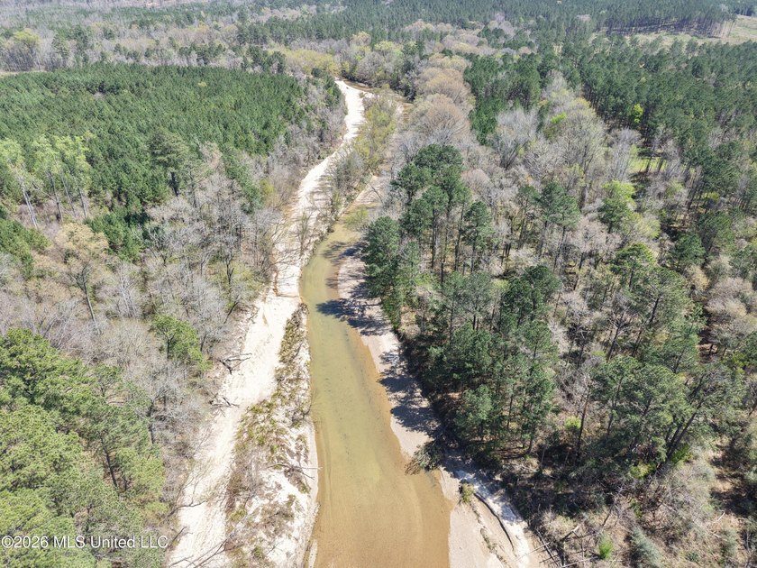 This 284.9+/- acre tract in Franklin County, Mississippi offers - photo 8
