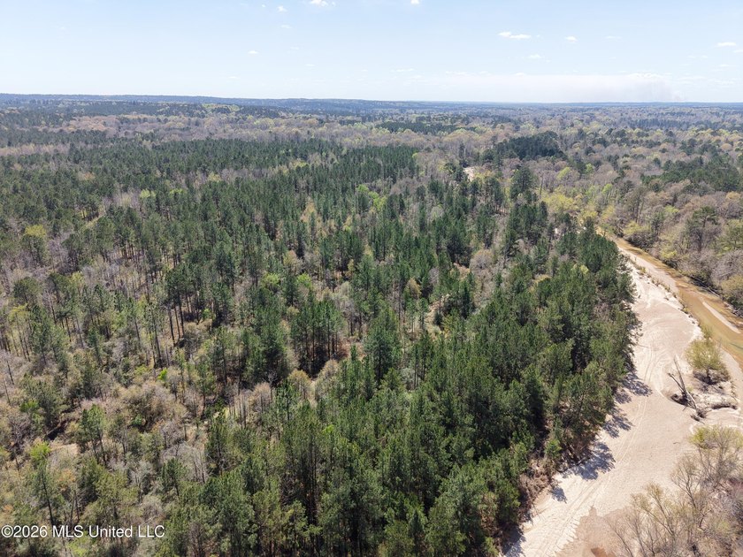 This 284.9+/- acre tract in Franklin County, Mississippi offers - photo 9