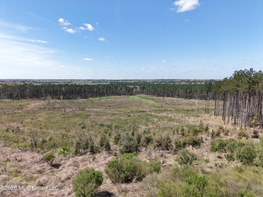 This 284.9+/- acre tract in Franklin County, Mississippi offers - photo 10
