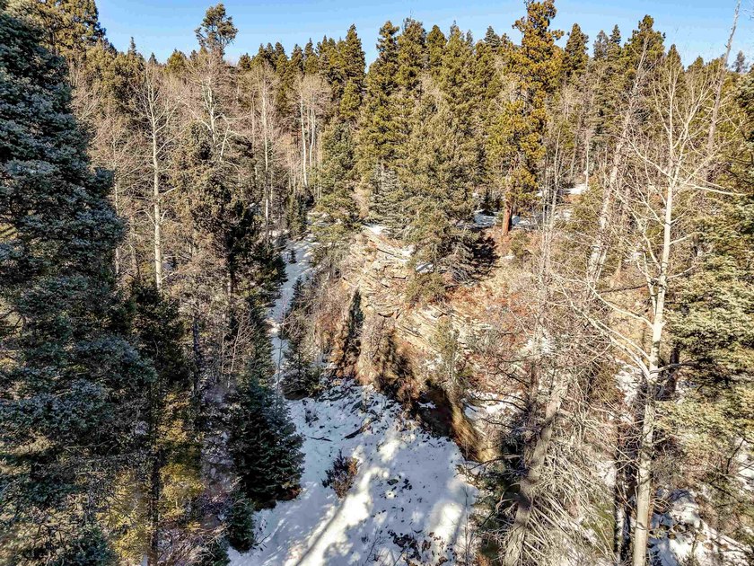 Beautiful single-family equestrian offering with the option to - photo 11