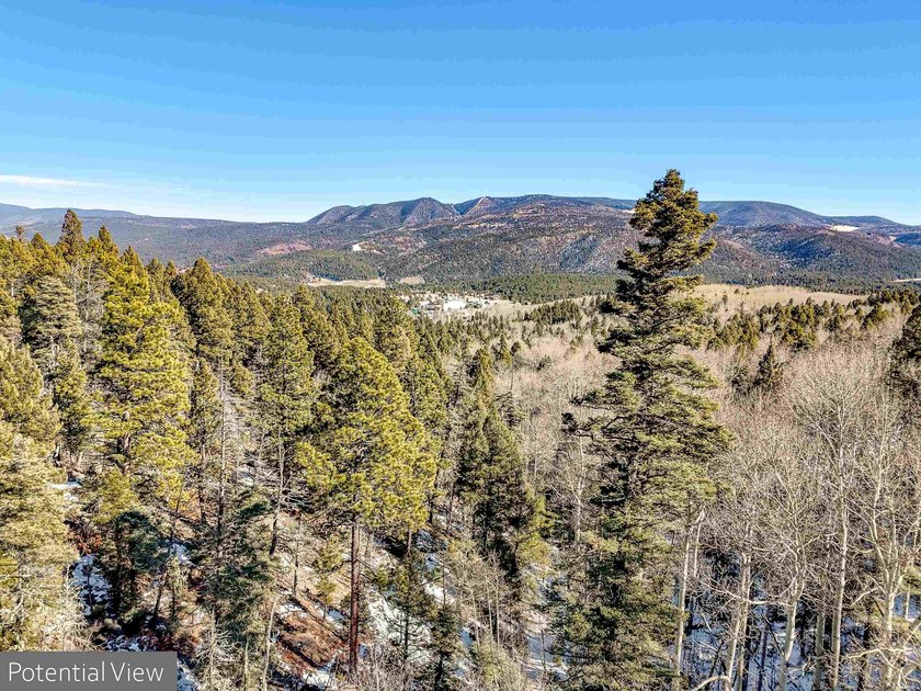 Beautiful single-family equestrian offering with the option to - photo 12