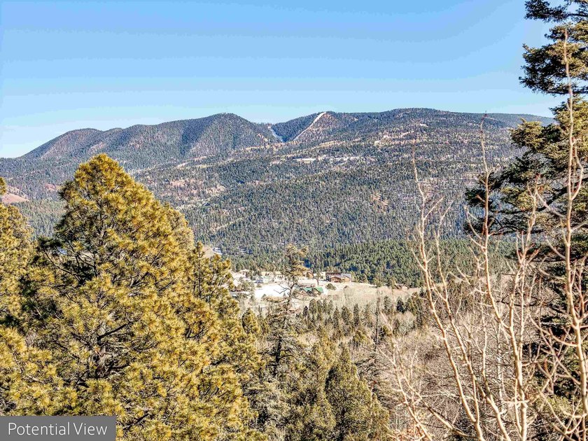 Beautiful single-family equestrian offering with the option to - photo 13