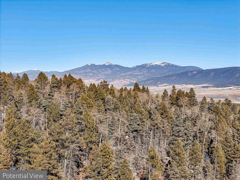 Beautiful single-family equestrian offering with the option to - photo 14