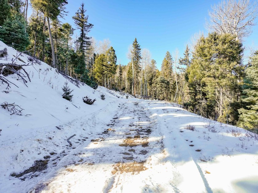 Beautiful single-family equestrian offering with the option to - photo 15