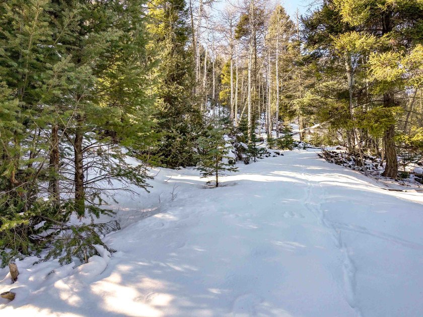 Beautiful single-family equestrian offering with the option to - photo 17
