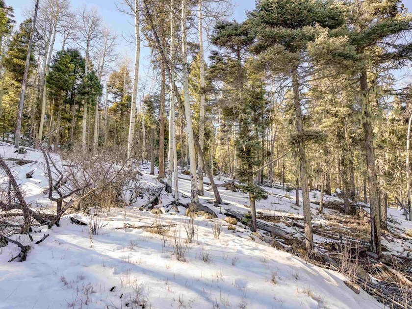 Beautiful single-family equestrian offering with the option to - photo 27