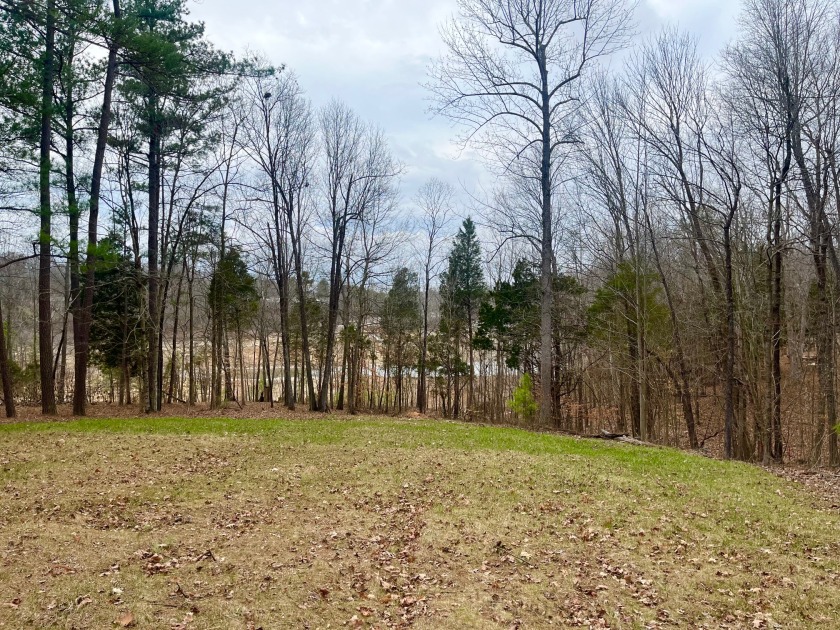 Beautiful Waterfront Lot in Marina Point Subdivision - photo 12