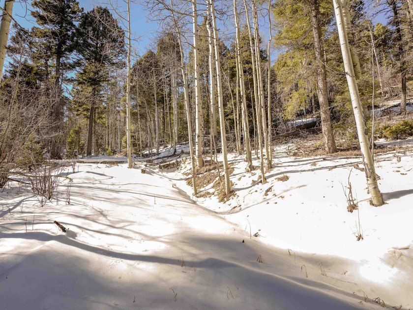 Beautiful single-family equestrian offering with the option to - photo 38