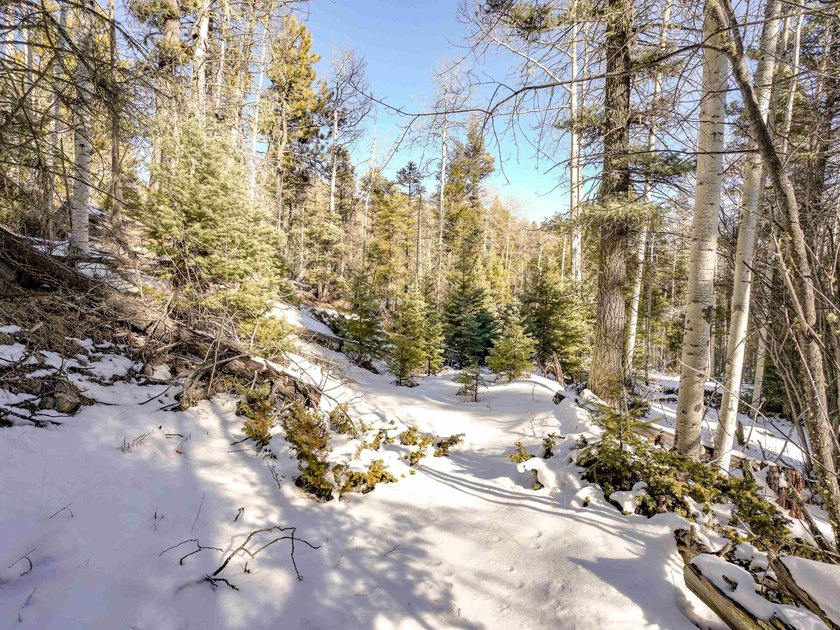 Beautiful single-family equestrian offering with the option to - photo 39