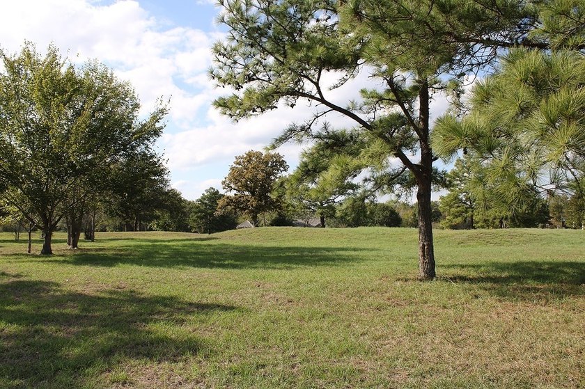 Private ranchette with endless options for uses with +/-25 acres - photo 10