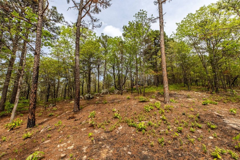 Exciting news! Phase 4 of Timber Ridge Estates is now available - photo 3