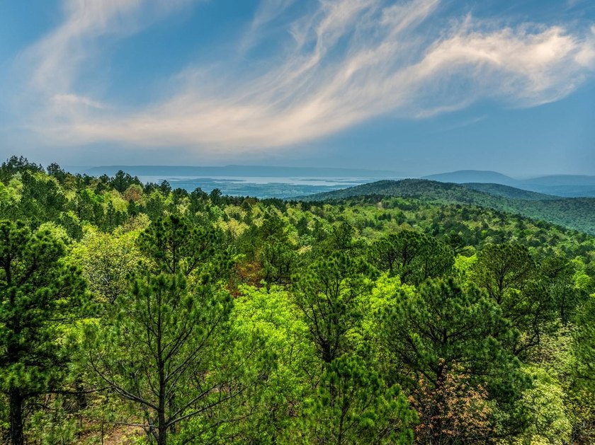 Exciting news! Phase 4 of Timber Ridge Estates is now available - photo 4
