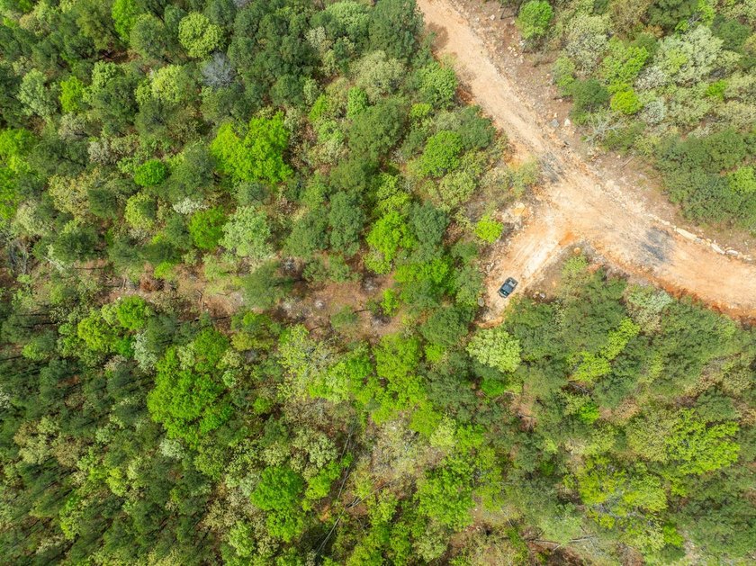 Exciting news! Phase 4 of Timber Ridge Estates is now available - photo 5