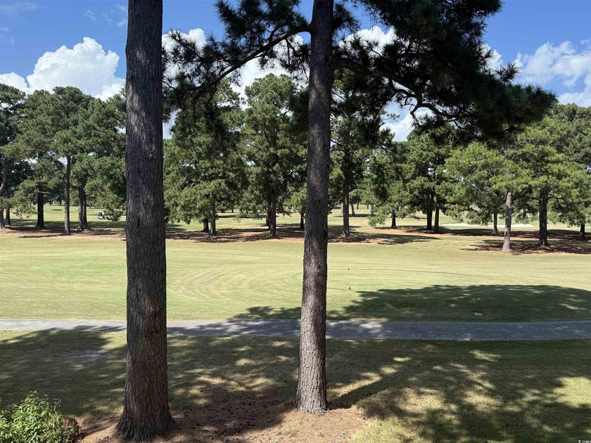 THIS IS THE ONE - SECOND FLOOR CORNER VILLA - GOLF COURSE - photo 26