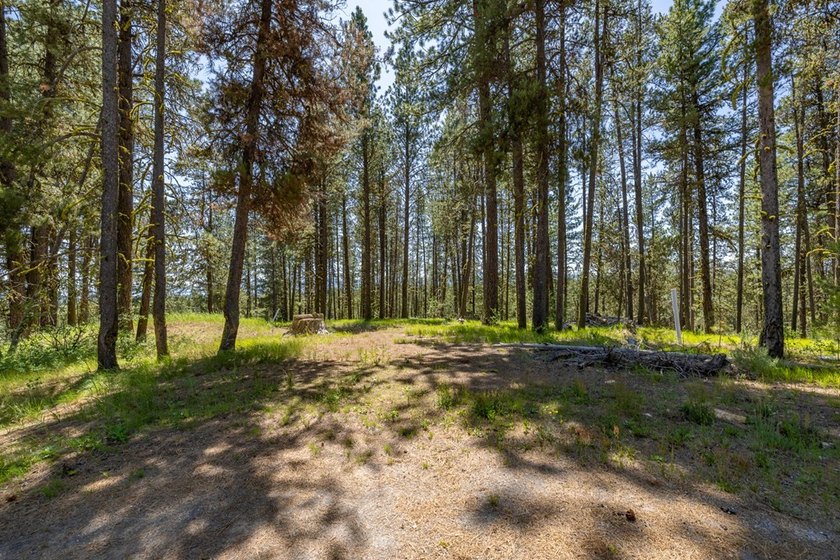 Valley View Lot on Huckleberry Place! Seller financing available - photo 2